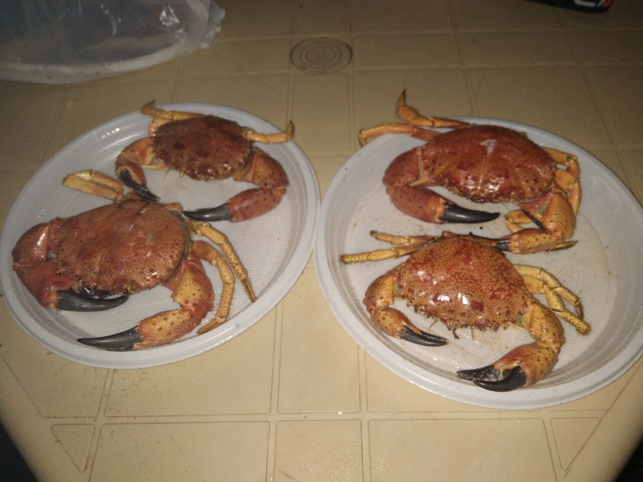 Гостевой дом Затерянный рай Архипо-Осиповка-55