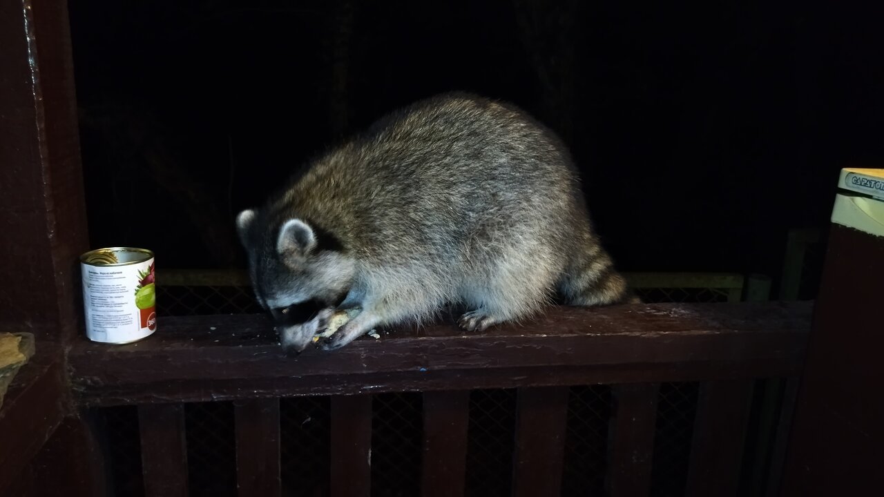 Гостевой дом Затерянный рай Архипо-Осиповка-37