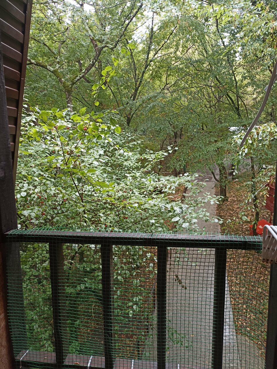 Гостевой дом Затерянный рай Архипо-Осиповка-98