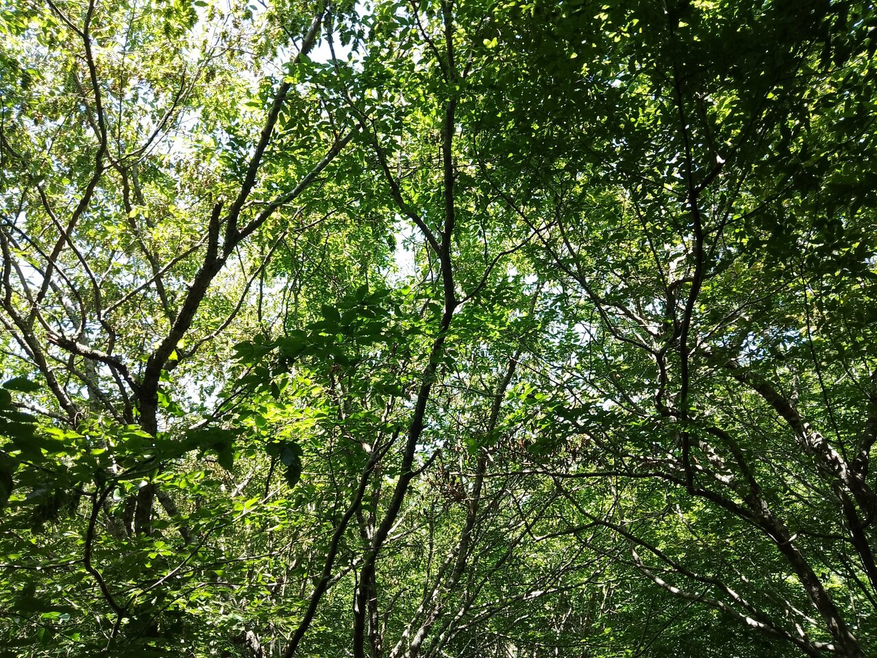 Гостевой дом Затерянный рай Архипо-Осиповка-34