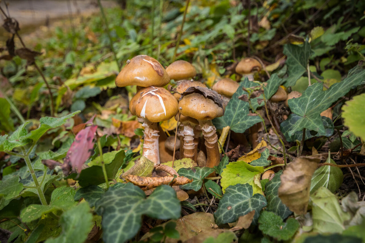 Гостевой дом Затерянный рай Архипо-Осиповка-28