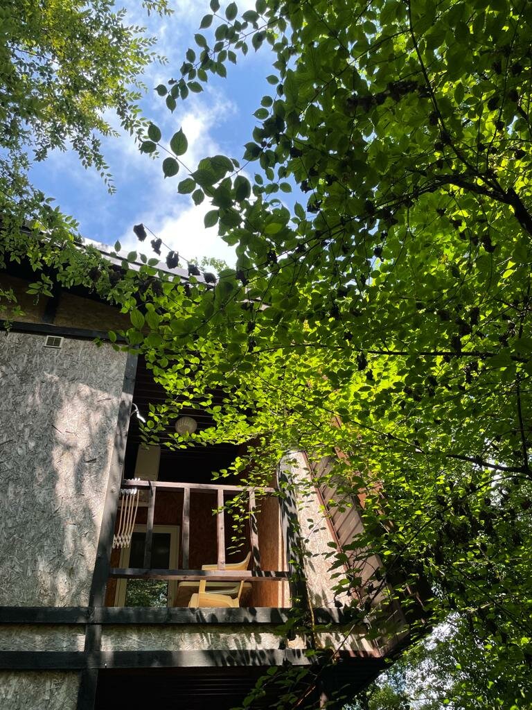 Гостевой дом Затерянный рай Архипо-Осиповка