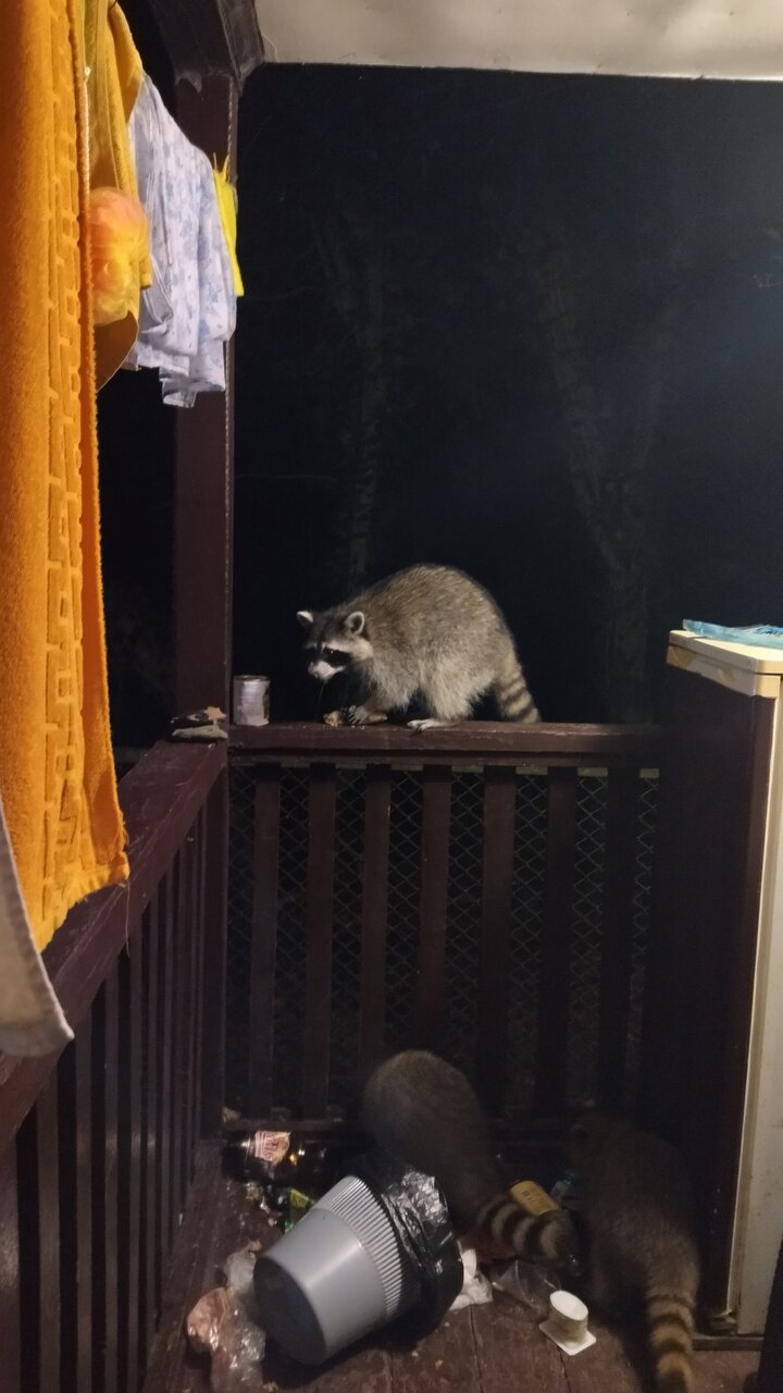 Гостевой дом Затерянный рай Архипо-Осиповка-77