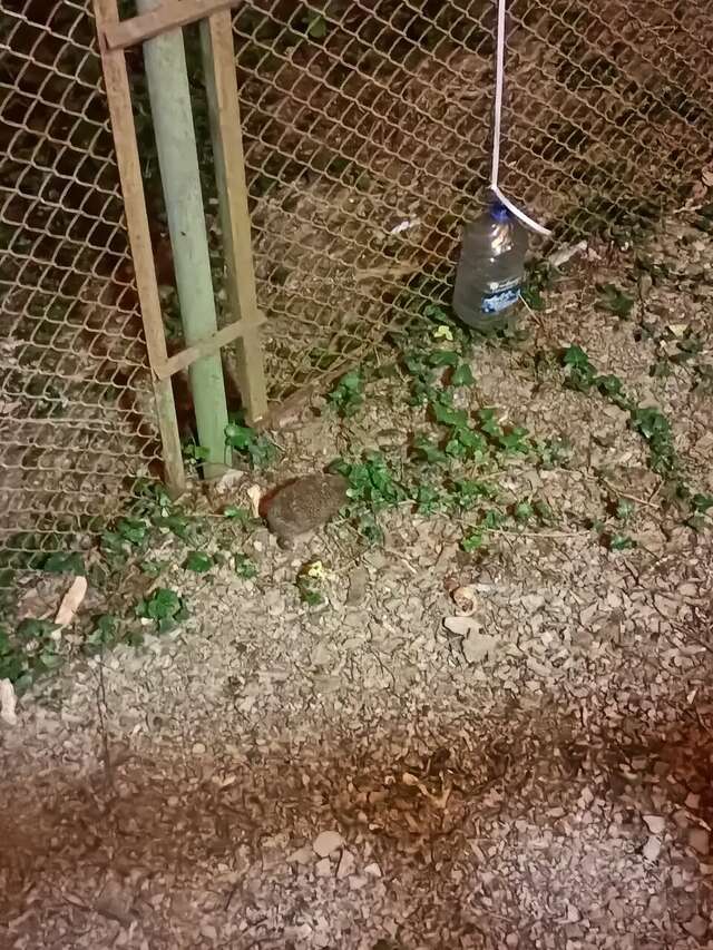 Гостевой дом Затерянный рай Архипо-Осиповка-60