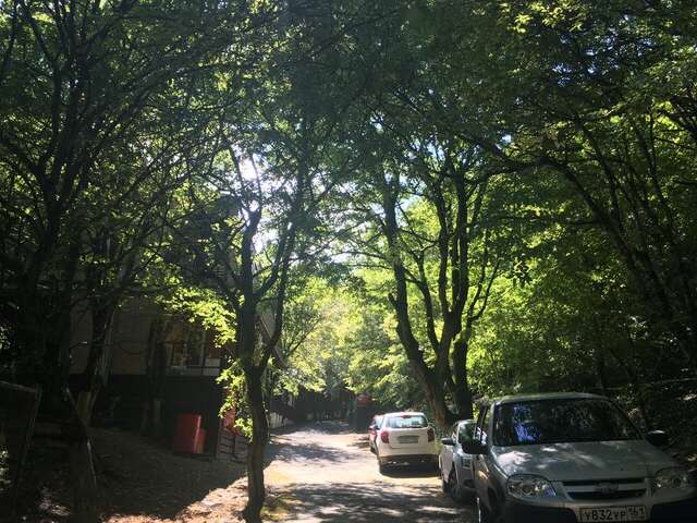 Гостевой дом Затерянный рай Архипо-Осиповка-105