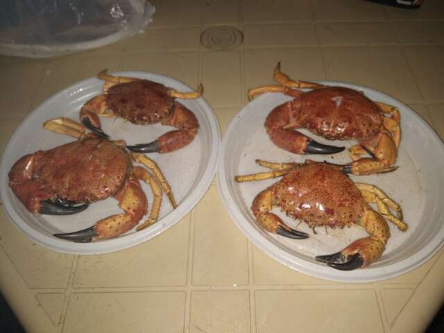 Гостевой дом Затерянный рай Архипо-Осиповка-54