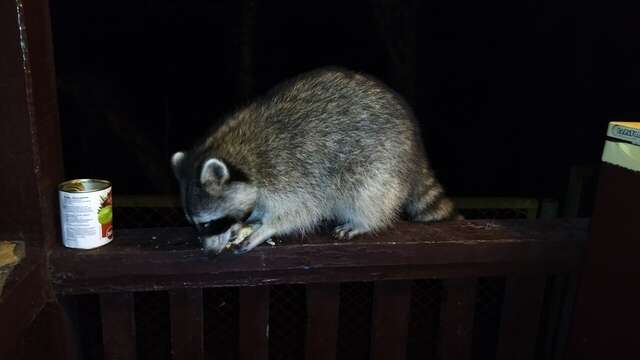 Гостевой дом Затерянный рай Архипо-Осиповка-36