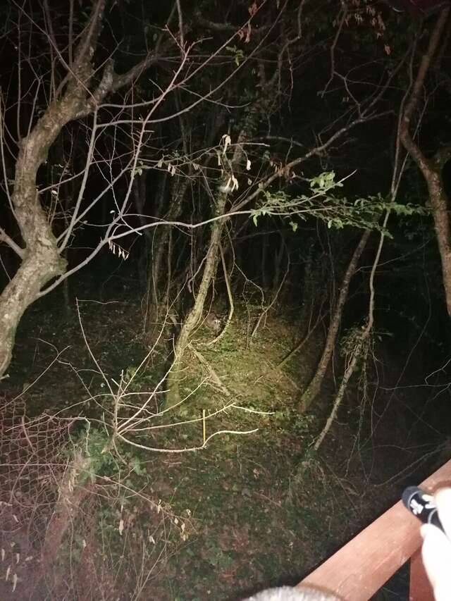 Гостевой дом Затерянный рай Архипо-Осиповка-50