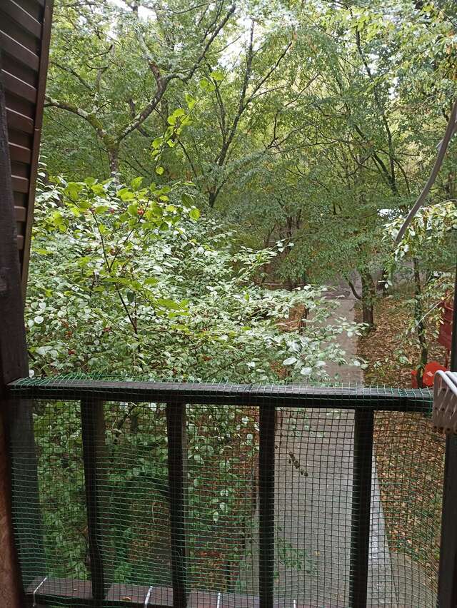 Гостевой дом Затерянный рай Архипо-Осиповка-97