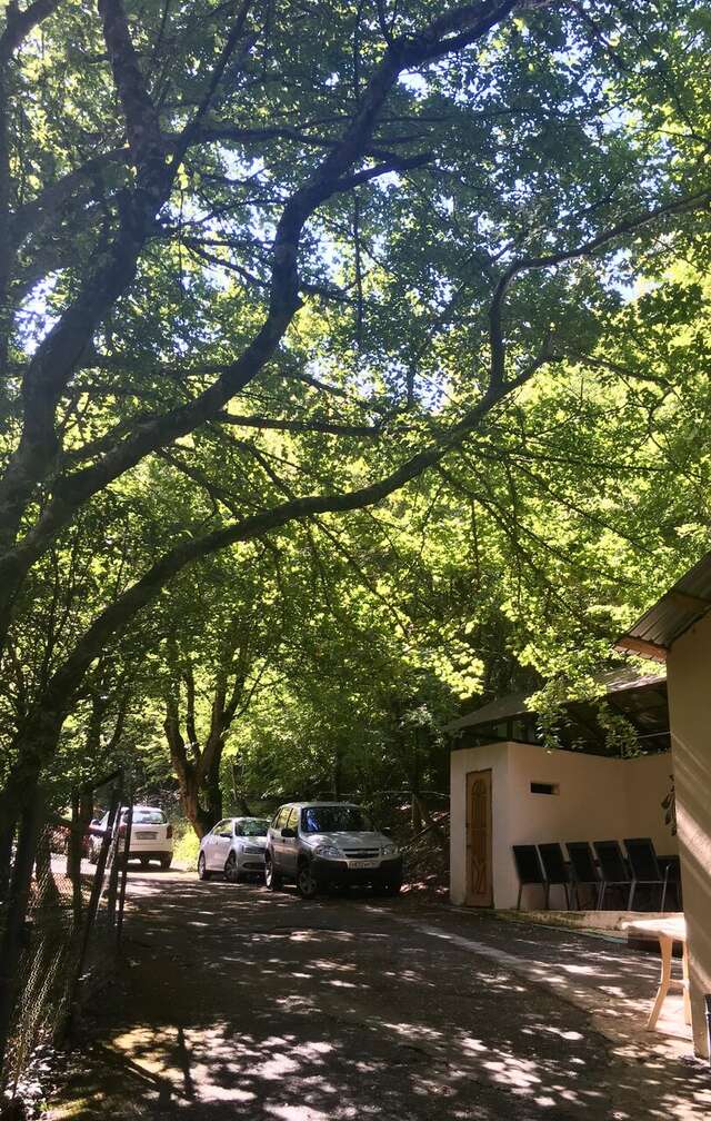 Гостевой дом Затерянный рай Архипо-Осиповка-107