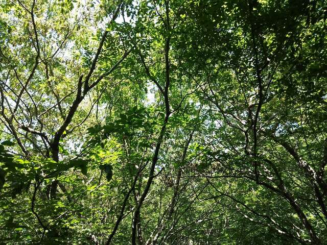 Гостевой дом Затерянный рай Архипо-Осиповка-33