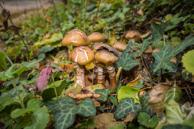 Гостевой дом Затерянный рай Архипо-Осиповка-27